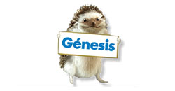 logo de Genesis seguros